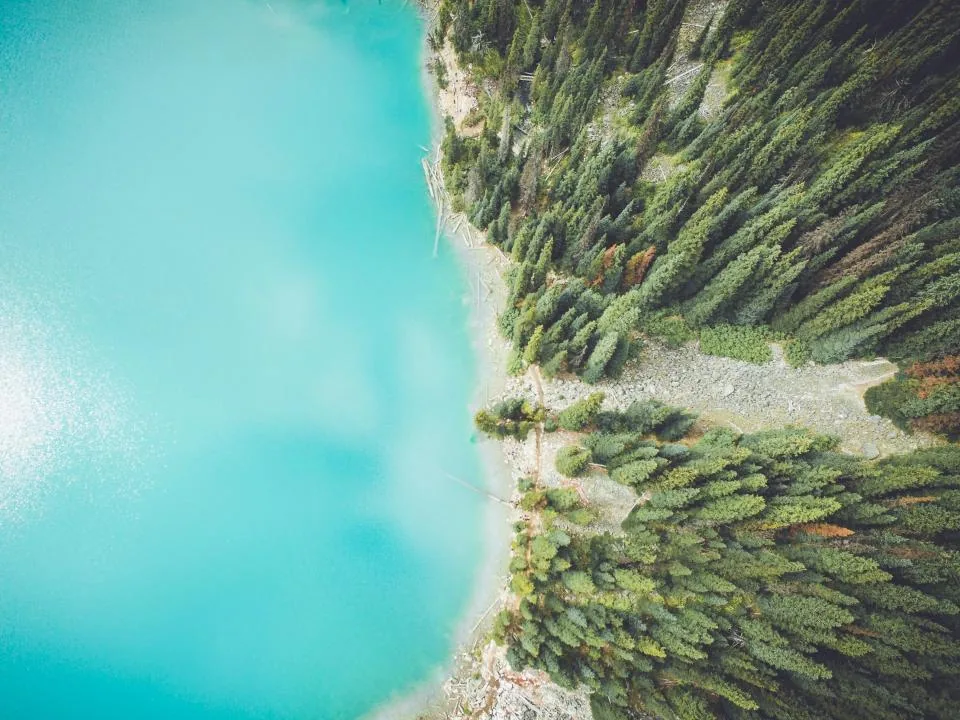 Pine forest running down to a turquoise lake