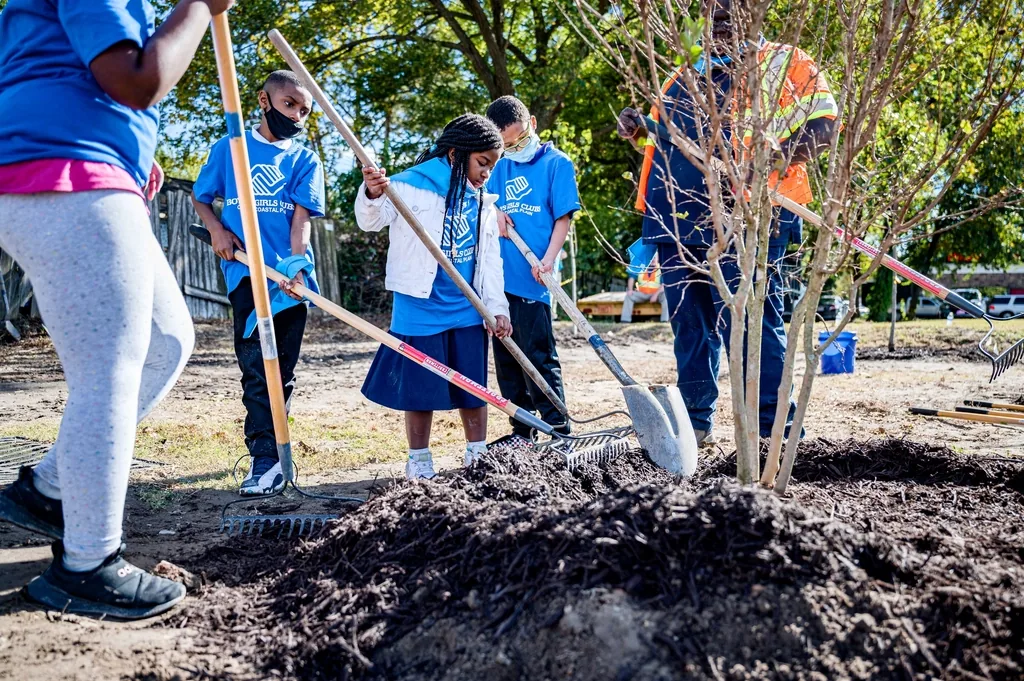 A group of young volunteers planting a tree together